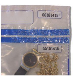 Security-Bag-Medium-Transparent-watch